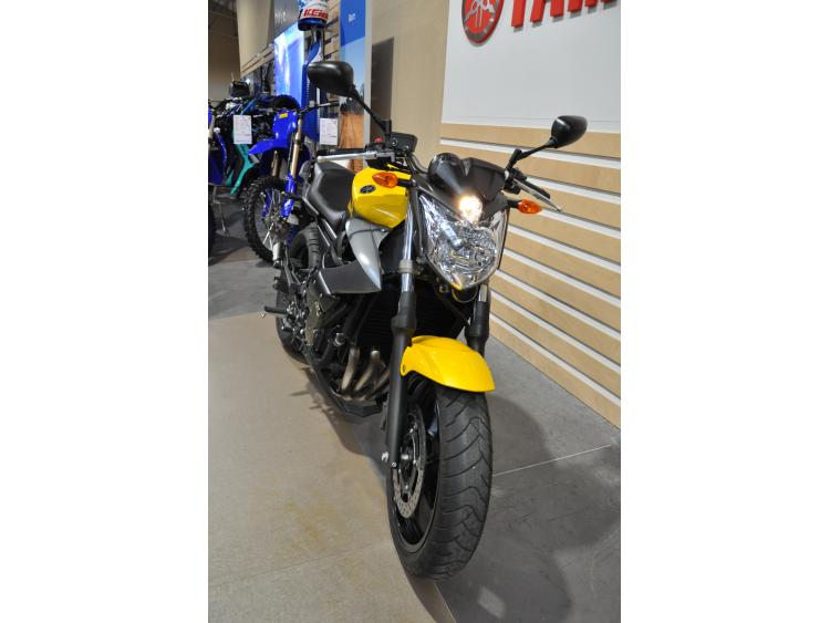 YAMAHA XJ6-N
